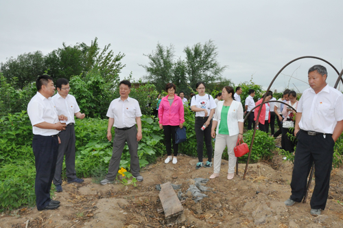 北屯市有多少个人口_新疆北屯市(2)