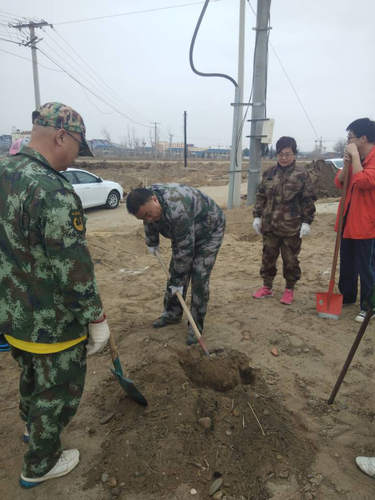图片1植树