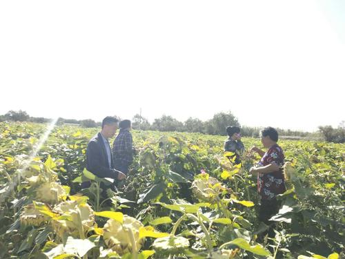QQ图片20180910123909