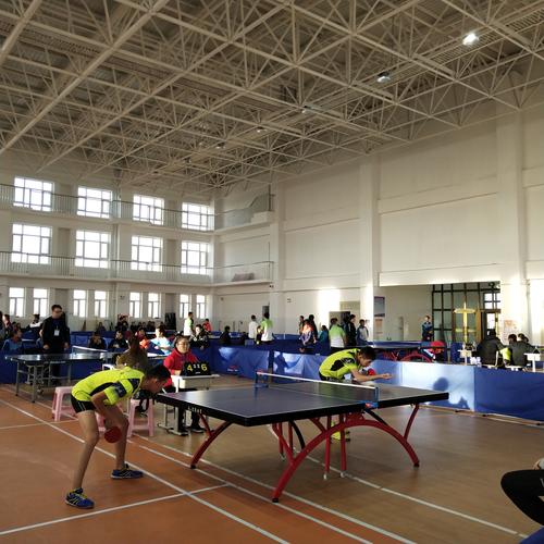 第十师北屯市第十五届中小学生乒乓球比赛1 第十师北屯市第十五届中小学生乒乓球比赛1