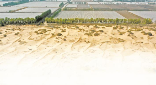 QQͼƬ20190417123813