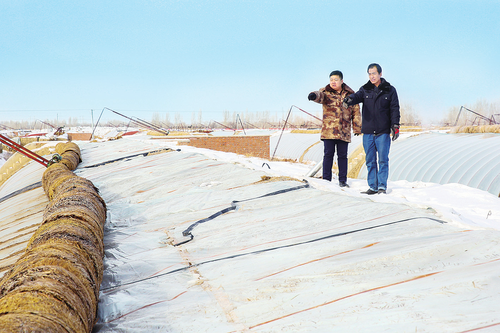 一八三团四连连管会成员王松（左）帮助种植户检查防寒措施