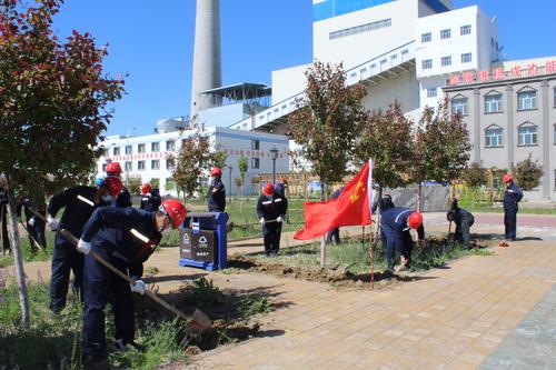 屯富热电开展“绿化厂区、美化环境”党日活动1