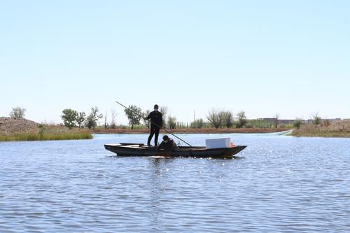 IMG_21601