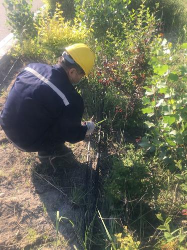 清理杂草1