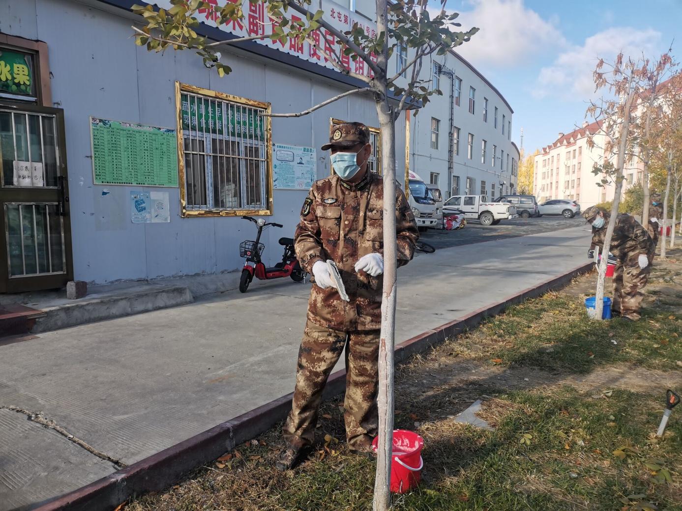 为树木刷白