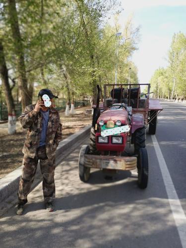 无证驾车