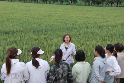 石河子大学李卫华教授为女职工讲小麦种植与管护知识  郝胜忠摄影