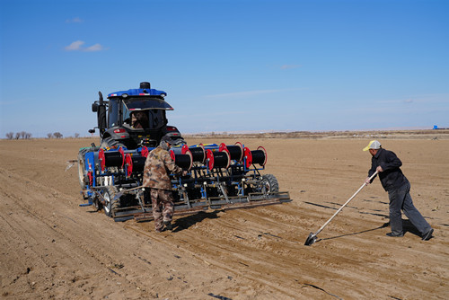 春小麦开播现场。谢国庆摄 春小麦开播现场。谢国庆摄