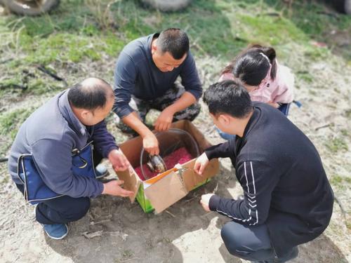 商务局联系服务群众工作小组深入连队田间地头 2