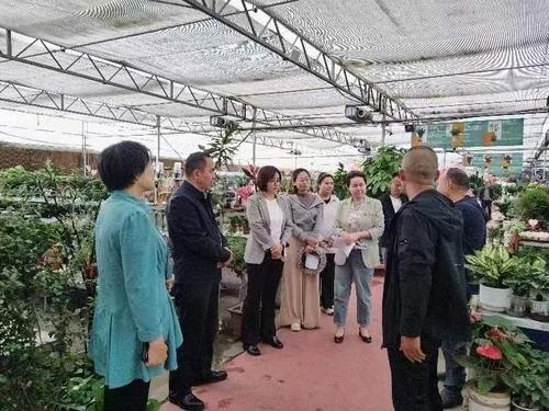 考察组在考察187团花卉市场