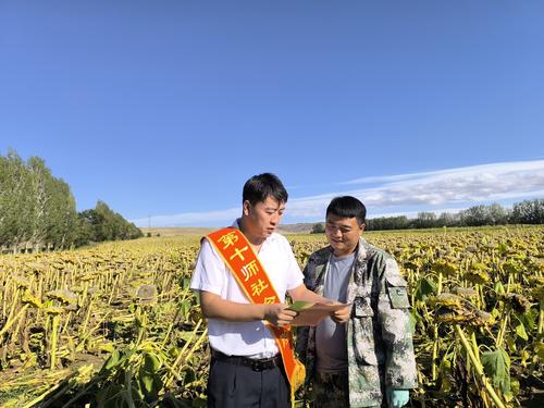 图为十师186团社保所工作人员在田间地头向参保群众讲解工伤保险政策