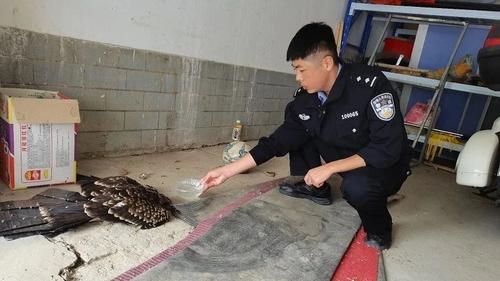 微信图片_20240911193830