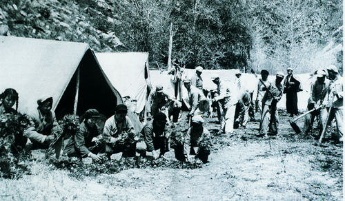 1951年，中国人民解放军骑七师十九团在巴里巴盖（一八一团团部安营扎寨）（师市史志办资料图）