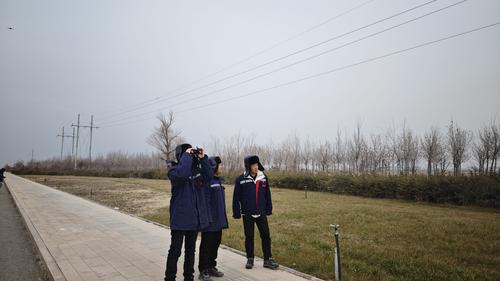 QQ图片20241125115258