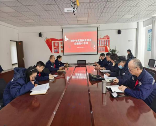 新疆屯富热电有限责任公司供热分公司党支部2