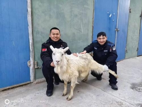 微信图片_20250312113722