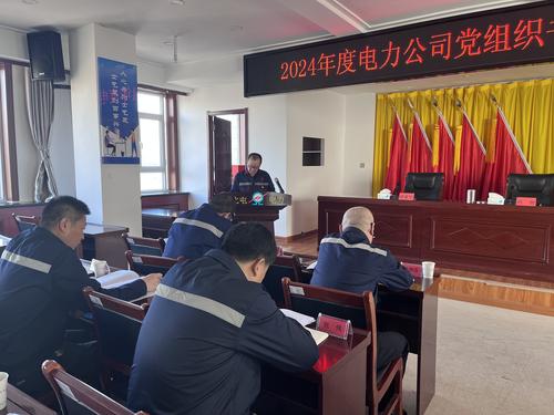 电力公司基层党组织书记抓党建述职评议亮成绩、找差距、谋新篇现场图 (1)