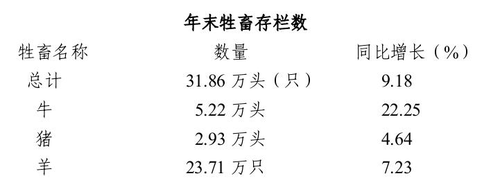 图片6