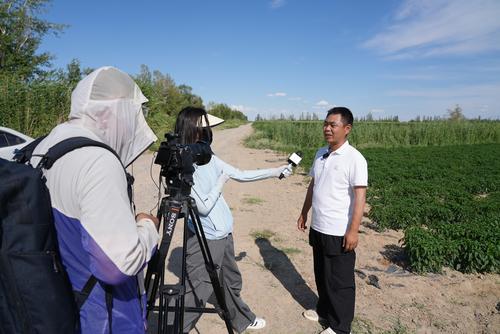 地头采访辣椒种植户。谢国庆摄