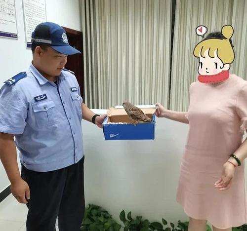 微信图片_2025-07-22_132544_858