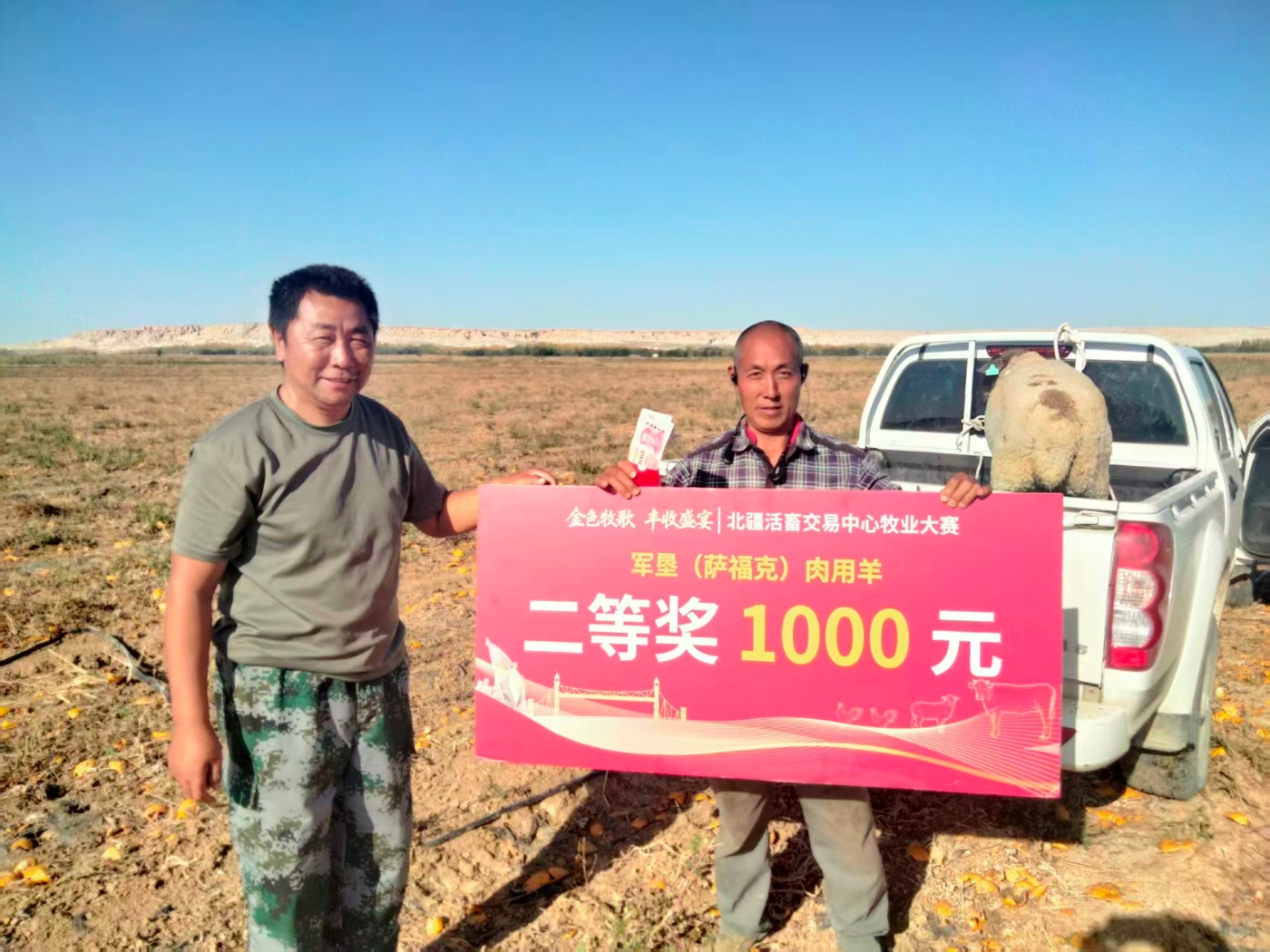 图为：9月28日获奖后的一八二团四连养殖户唐玄贵（右一）同团农业和林业草原中心工作人员与精心饲养的军垦肉羊种公羊合影时的情景。