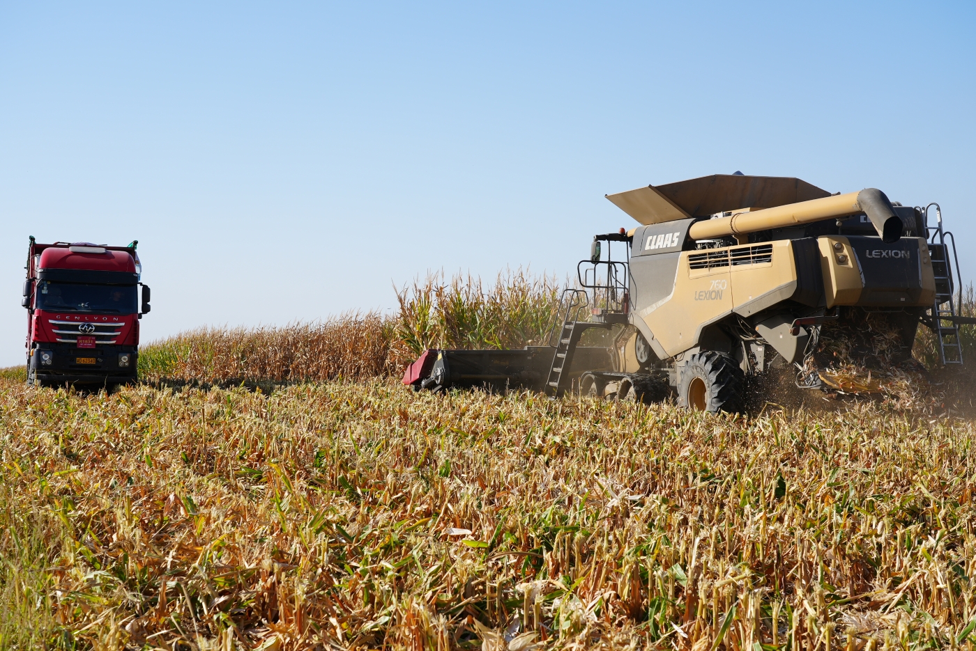 收获现场。谢国庆摄 收获现场。谢国庆摄