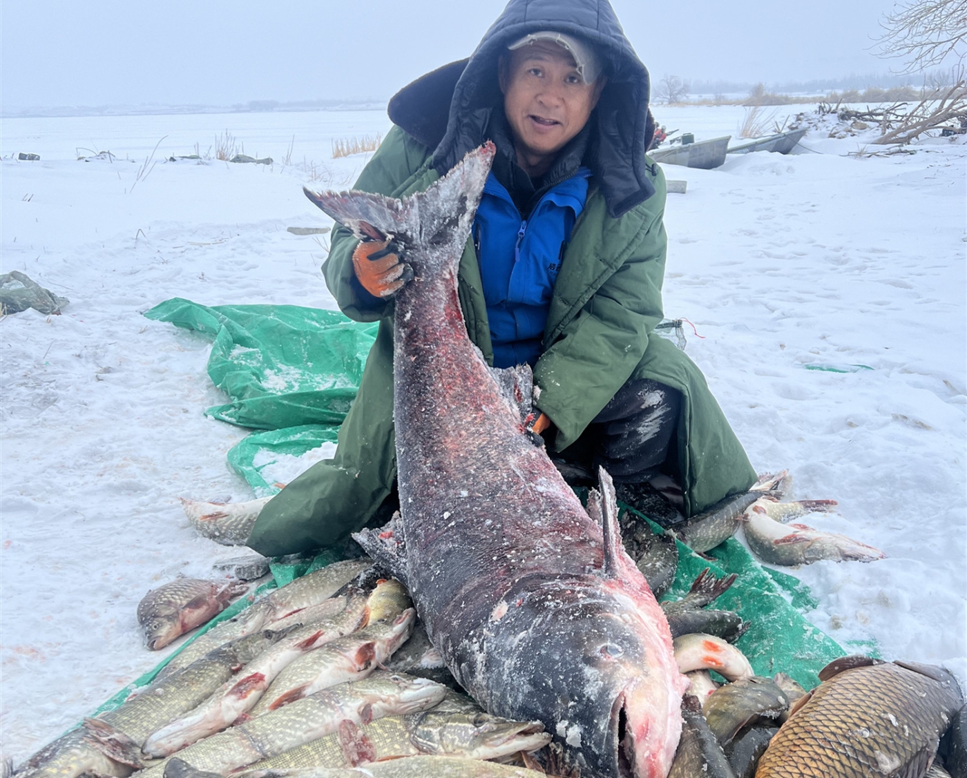 巨型花鲢出水面。(基地提供) 巨型花鲢出水面。(基地提供)