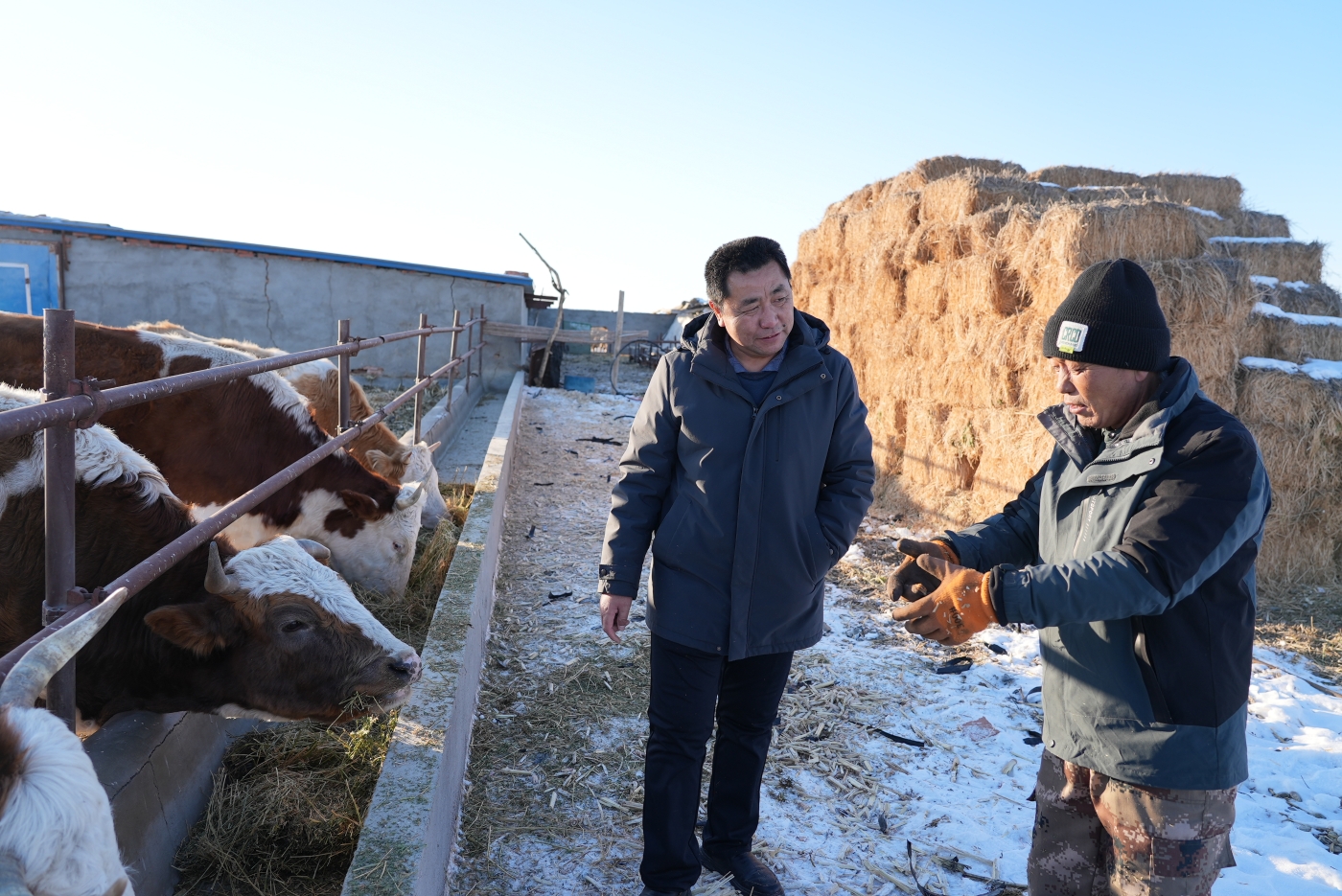 养殖户朱万峰(右)正在与入户技术人员交流冬季养殖技术问题。谢国庆摄 养殖户朱万峰(右)正在与入户技术人员交流冬季养殖技术问题。谢国庆摄