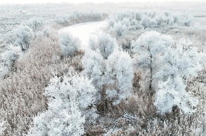 615539_700x700 615539_700x700