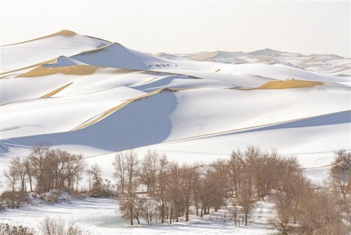 615541_700x700 615541_700x700