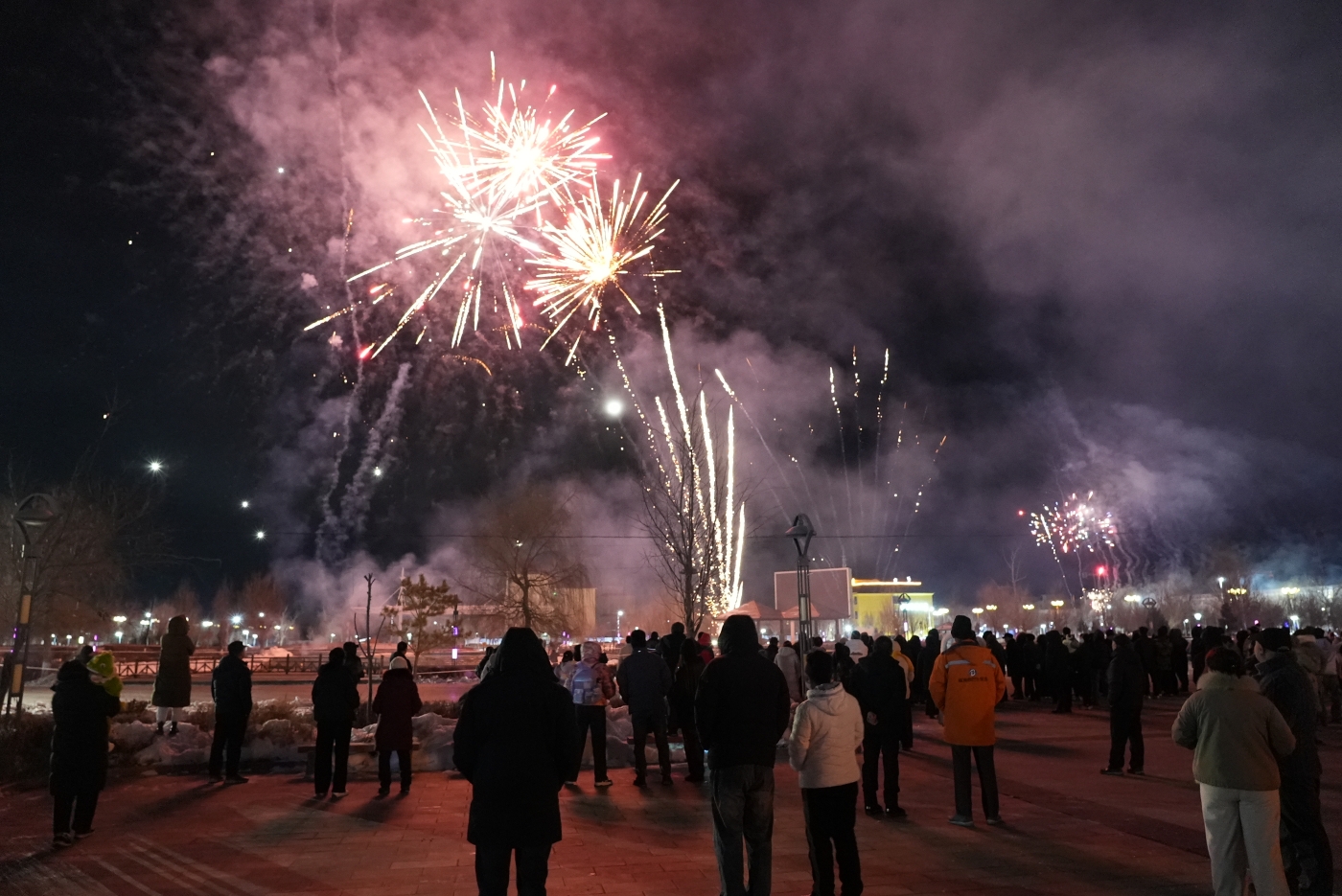 璀璨绚丽的元宵烟花盛宴（一）谢国庆摄