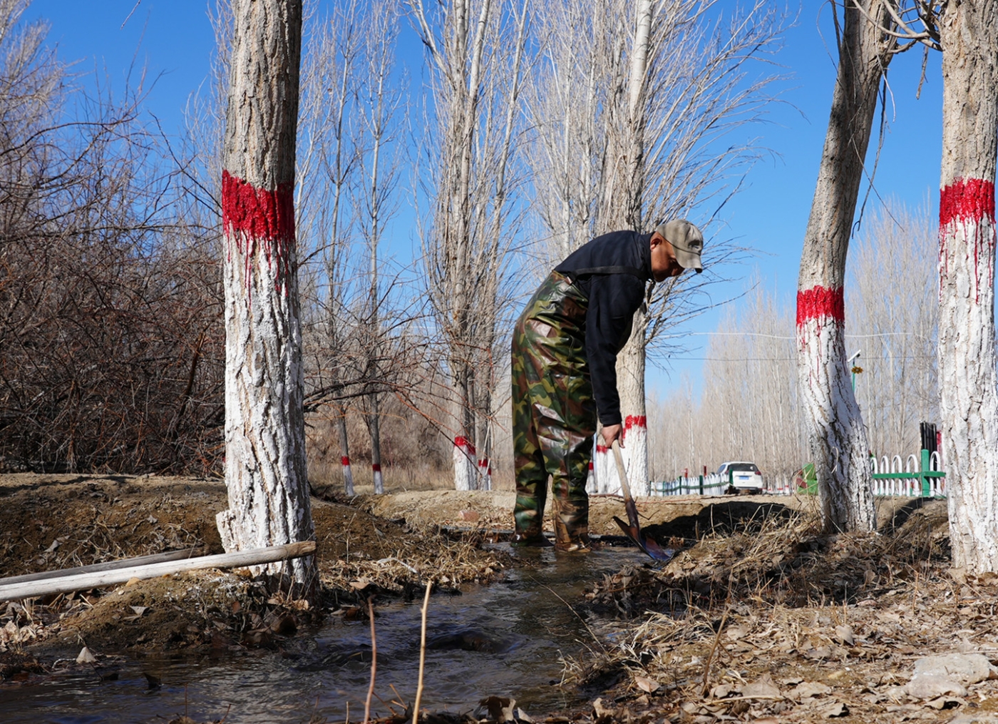 春季林木管护4。谢国庆摄