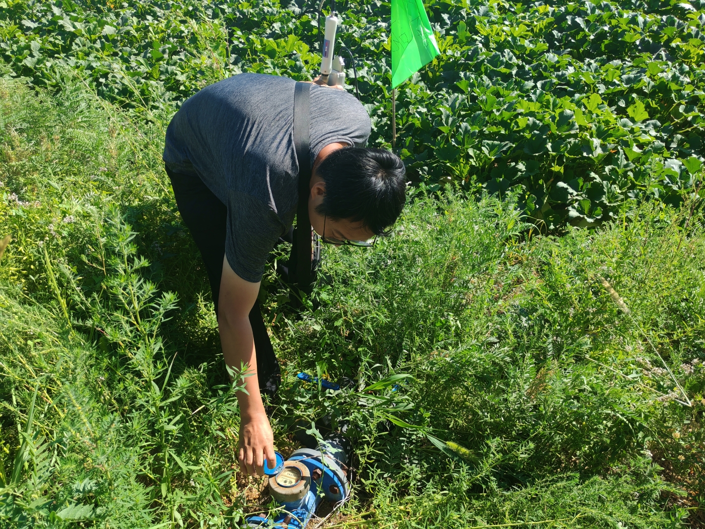 微信图片_20260708130257_24_4 微信图片_20260708130257_24_4