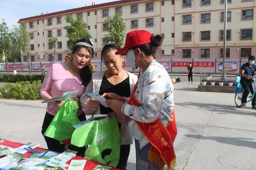 IMG_9029 IMG_9029
