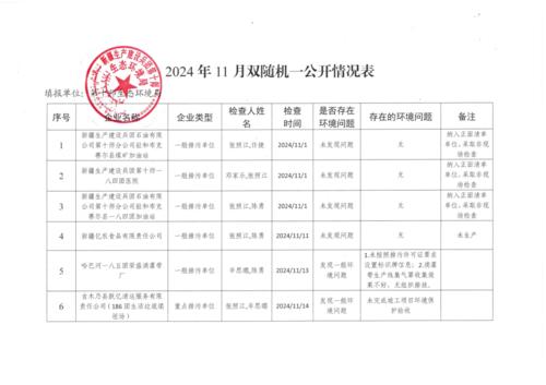 2024年11月双随机一公开情况表1