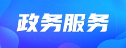 政务服务