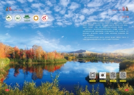 白沙湖